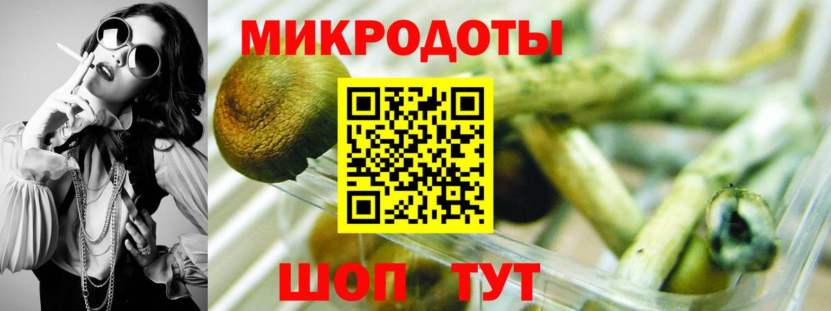 Ростов-на-Дону  Галлюциногенные грибы GOLDEN TEACHER  Вход с VPN 
